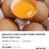 과일꾼)농할] 국내산 난각번호1번 유정란 무항생제 자연방목 계란 대란 20구 7040원